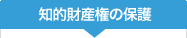 知的財産権の保護